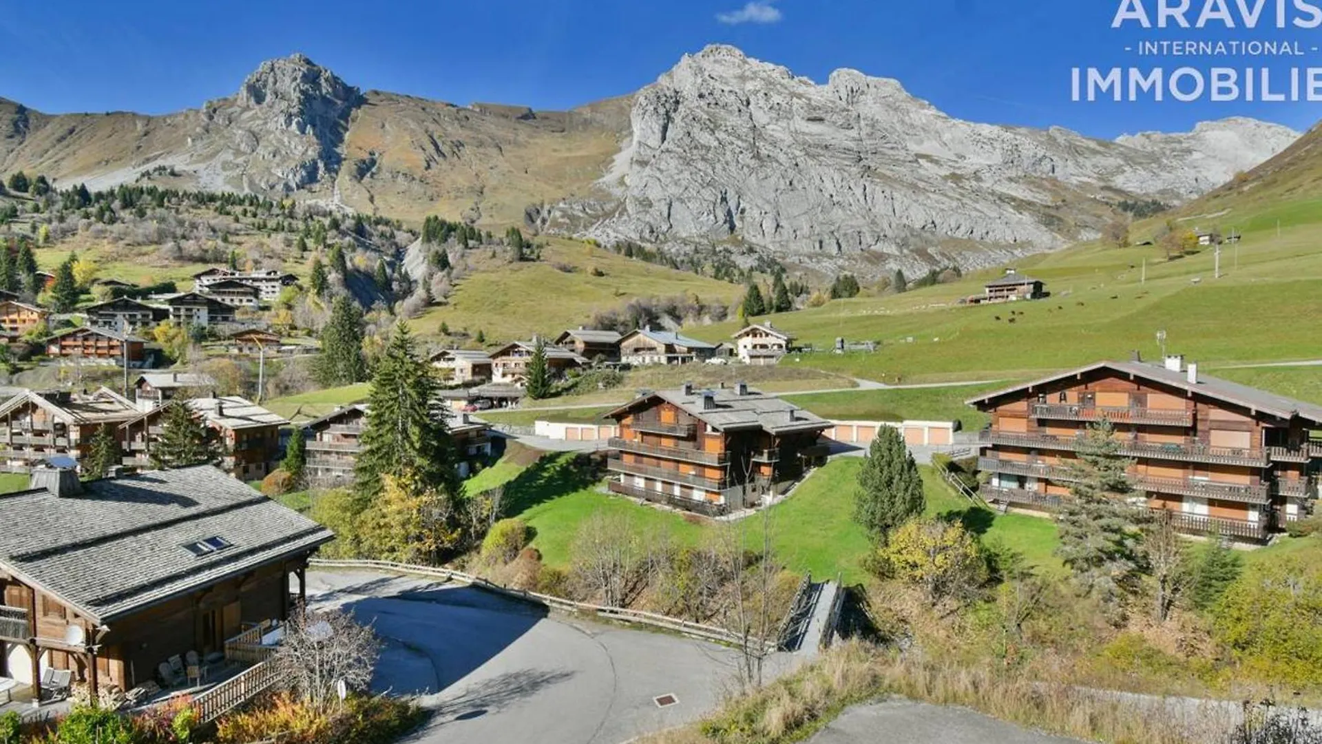 Chalet 5 Chambres Au Pied Des Pistes, Ideal Pour Ski Et Velo Tourisme! - Fr-1-391-24 Le Grand-Bornand